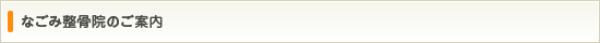 なごみ整骨院のご案内